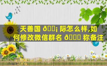 天善国 🐡 际怎么样,如何修改微信群名 🐟 称备注